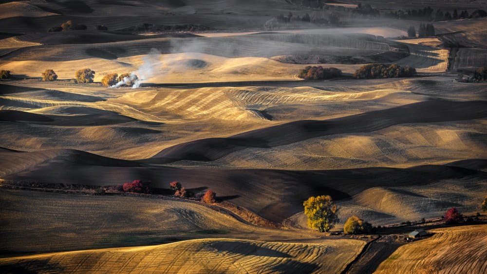 Smoky Autumn Fields by Anna Zhang — canvas wall art