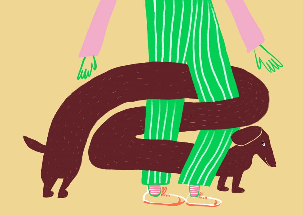 Tangled Dachshund Legs by Sharyn Bursic — canvas wall art