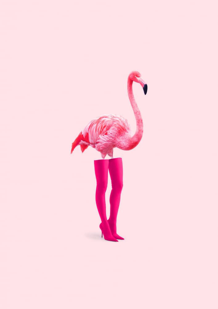 Pink Flamingo Fashion Legs by Artem Pozdniakov — canvas wall art