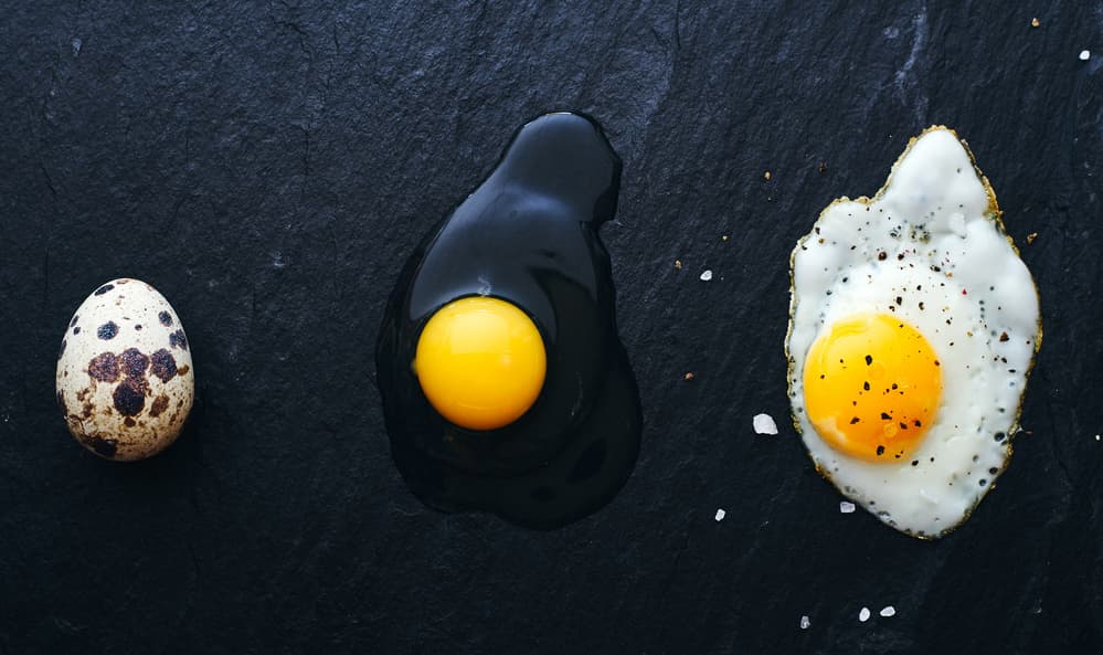 Eggs Three Ways by Karina Aleksandrova — canvas wall art