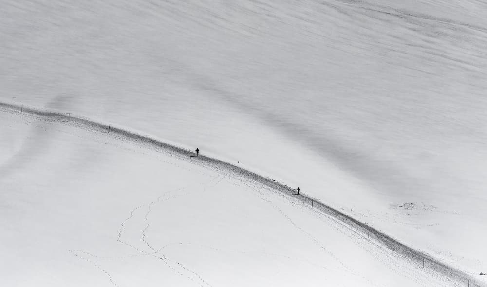 Snowy Path Solitude by Wayne Pearson — canvas wall art