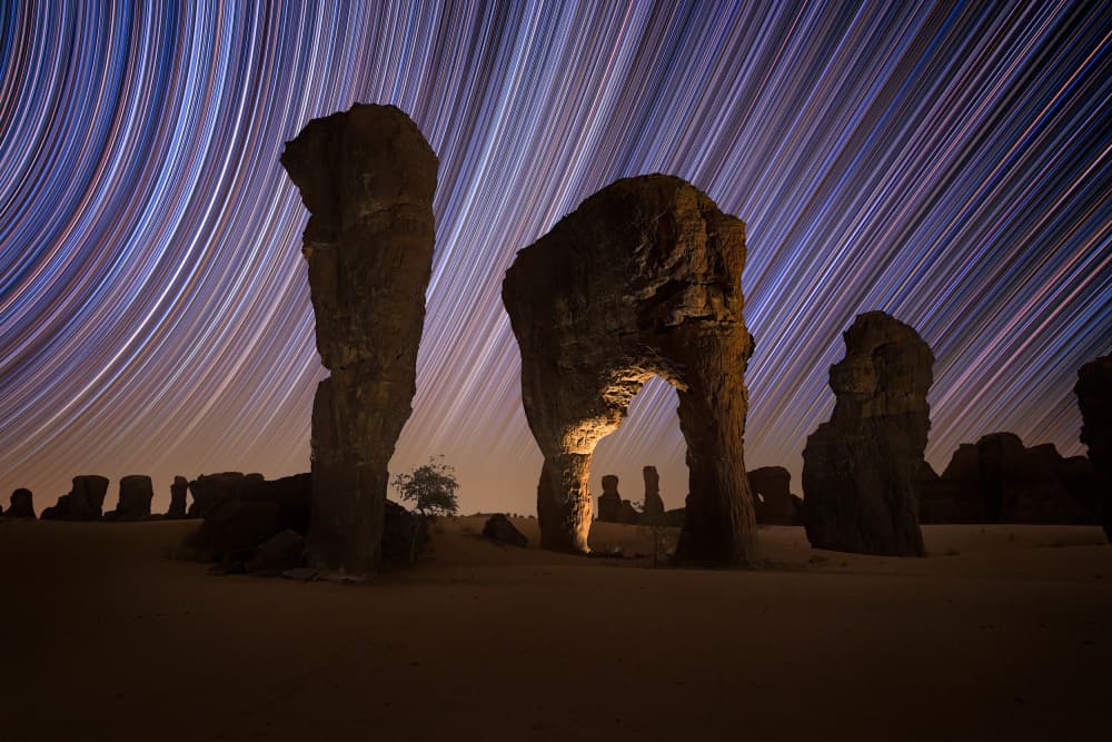 Desert Star Trails by Vikas Chander — canvas wall art