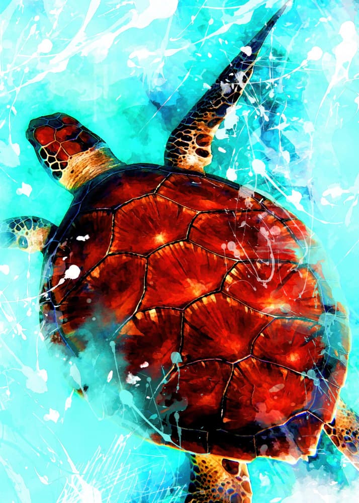 Vibrant Ocean Turtle by Justyna Jaszke — canvas wall art