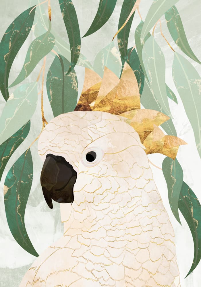 White Cockatoo Eucalyptus by Sarah Manovski — canvas wall art