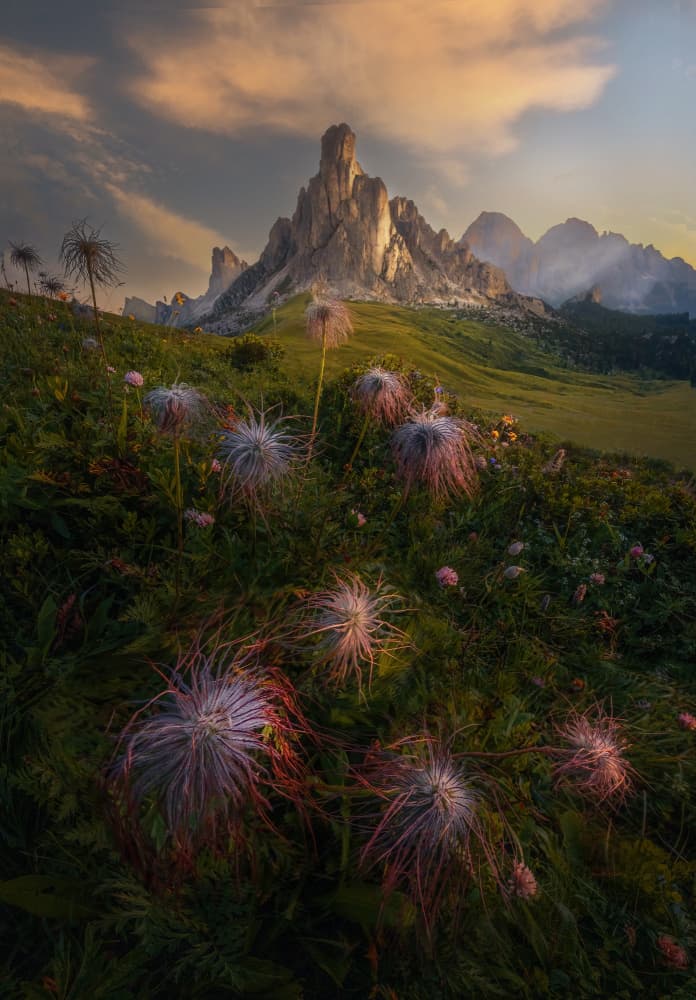 Alpine Meadow Sunset by Yun Thwaits — canvas wall art