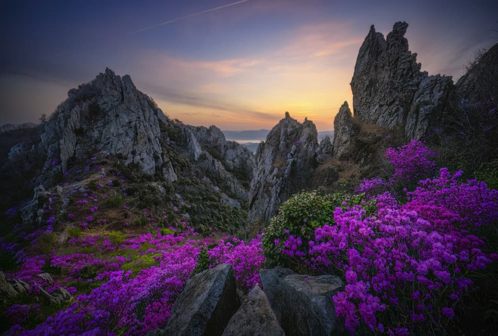 Purple Peak Sunset by Tiger Seo — canvas wall art