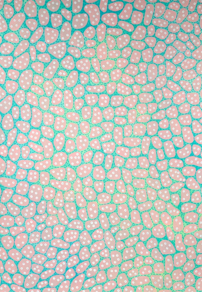 Dotted Pink Organic Shapes by Naomi Vona — canvas wall art