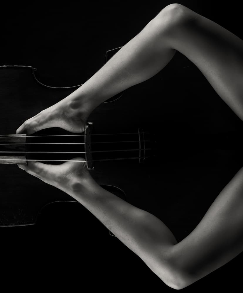 Sensual Music Form by James Yang — canvas wall art