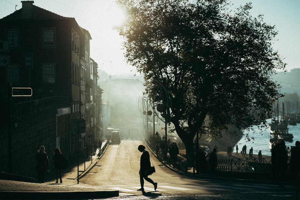 Golden Haze City Street by Costas Economou — canvas wall art