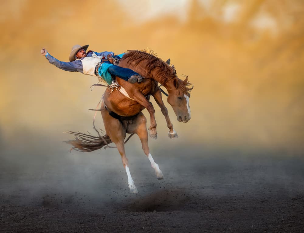 Cowboy Rodeo Ride by Frank Ma — canvas wall art