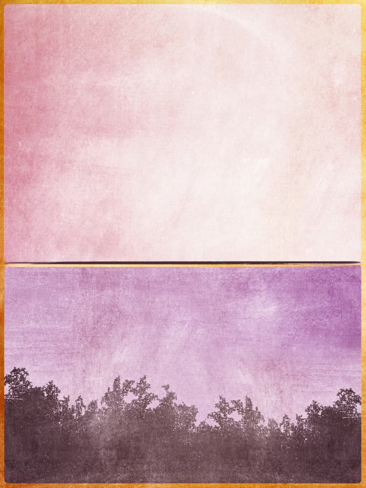 Pink Purple Forest Horizon by Alyson Storms — canvas wall art