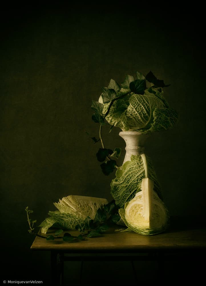 Savoy Cabbage Still Life by Monique van Velzen — canvas wall art