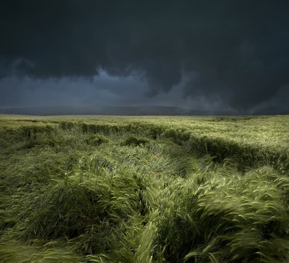 Storm Over Green Fields by Nicolas Schumacher — canvas wall art
