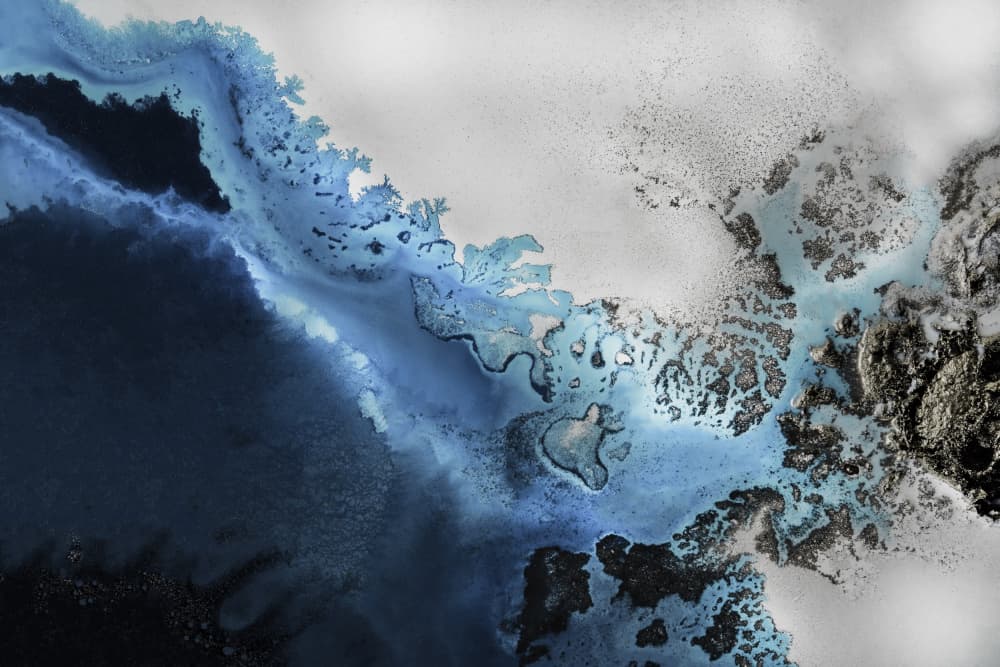 Maritime Majesty by Petra Meikle de Vlas — canvas wall art
