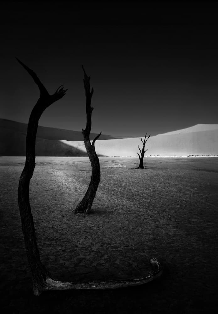 Stark Desert Sentinels by Yang Jiao — canvas wall art