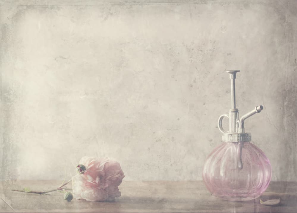 Vintage Pink Rose Perfume by Delphine Devos — canvas wall art