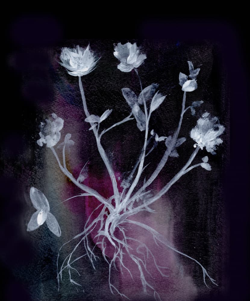 Ethereal Plant Roots