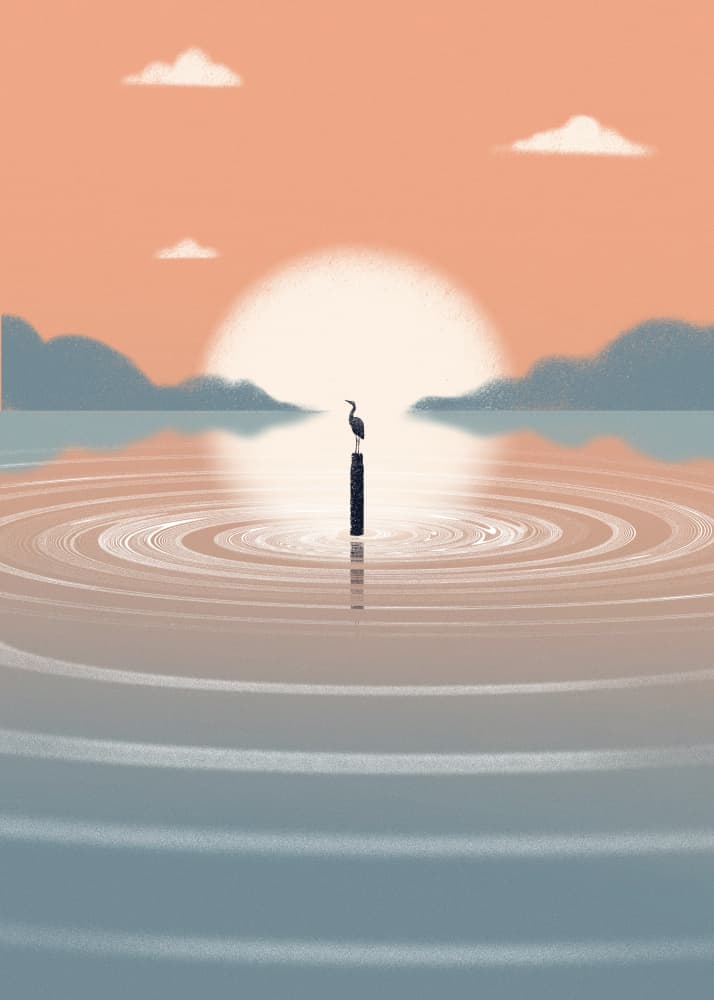 Solitary Bird Sunset by Fadil Roze — canvas wall art