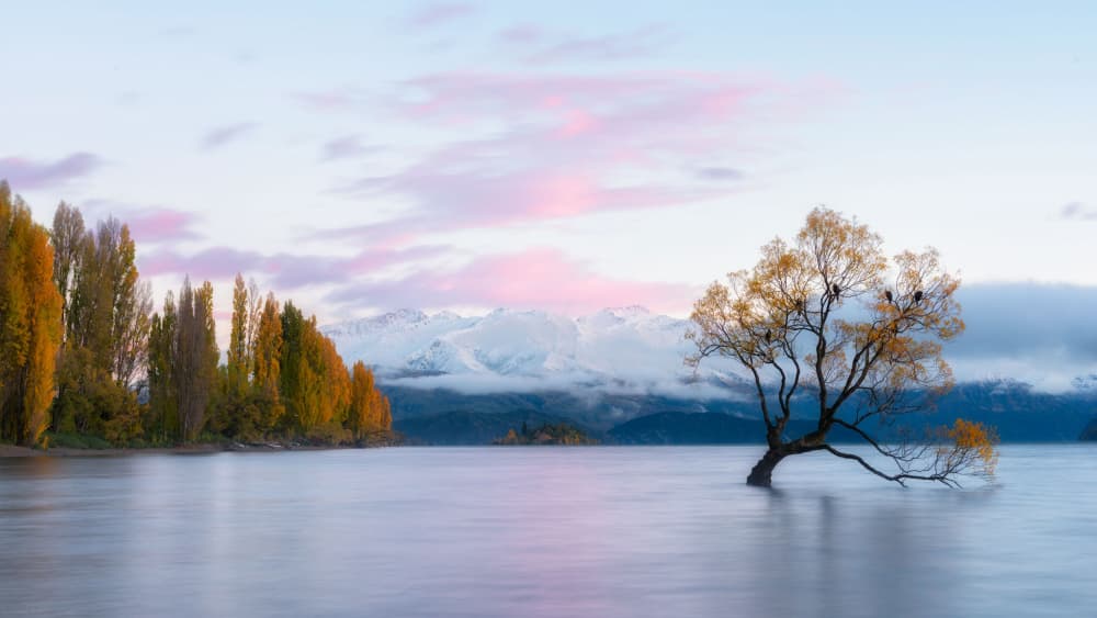 Golden Autumn Lake Tree by Johnny Zhang — canvas wall art