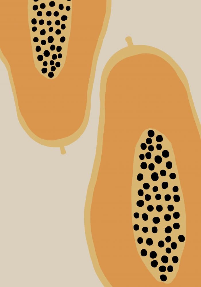 Minimalist Papaya Halves by Pictufy Studio II — canvas wall art