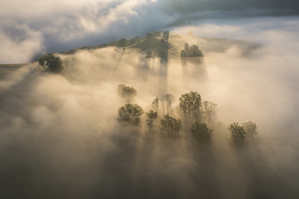Golden Morning Mist by Alexandru Ionut Coman — canvas wall art