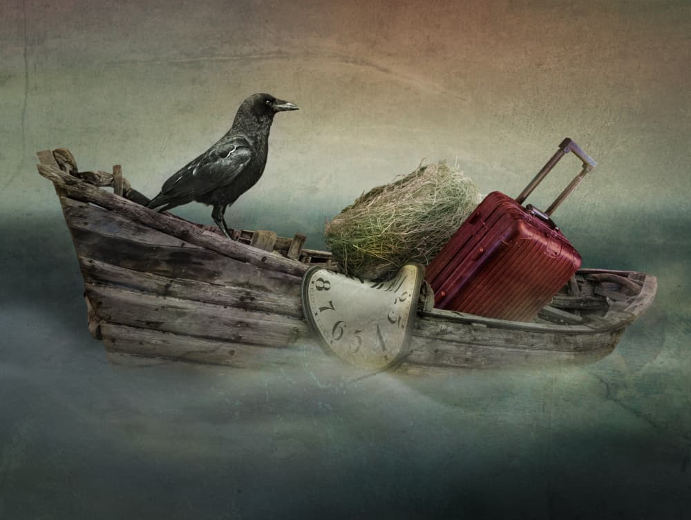 Crow and the Melting Clock by Biao Huang — canvas wall art
