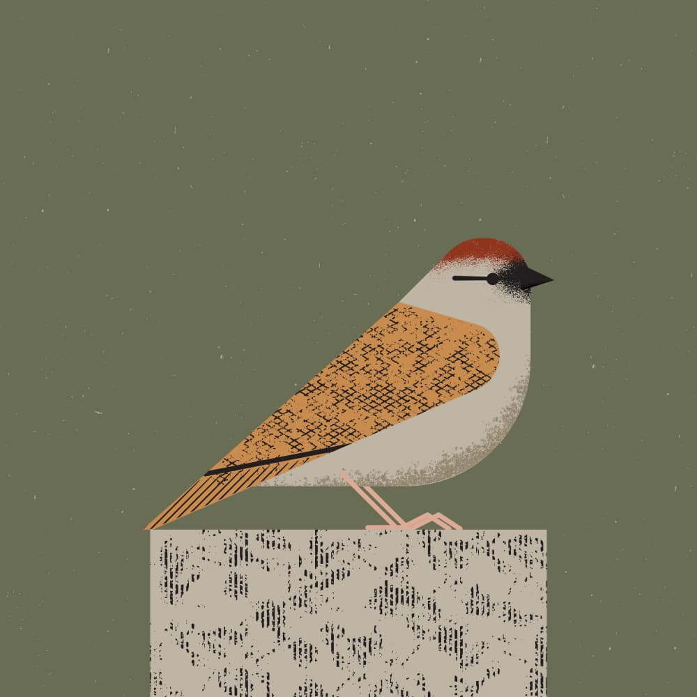 Perched Sparrow by The Creating Mind — canvas wall art