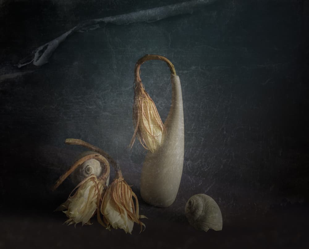 Quiet Botanical Study by John-Mei Zhong — canvas wall art
