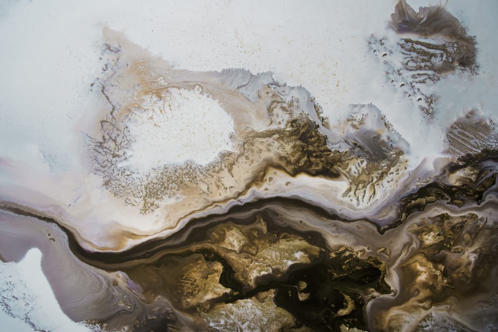 Trending -Silent Streaming by Petra Meikle de Vlas — canvas wall art