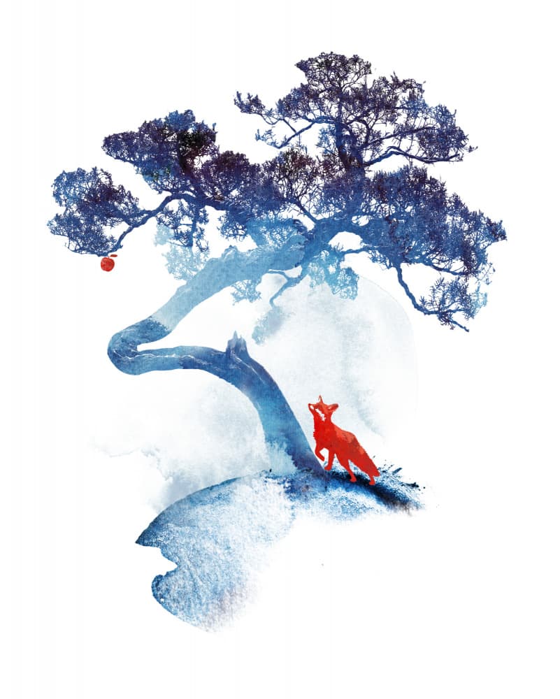Red Fox Blue Tree by Robert Farkas — canvas wall art