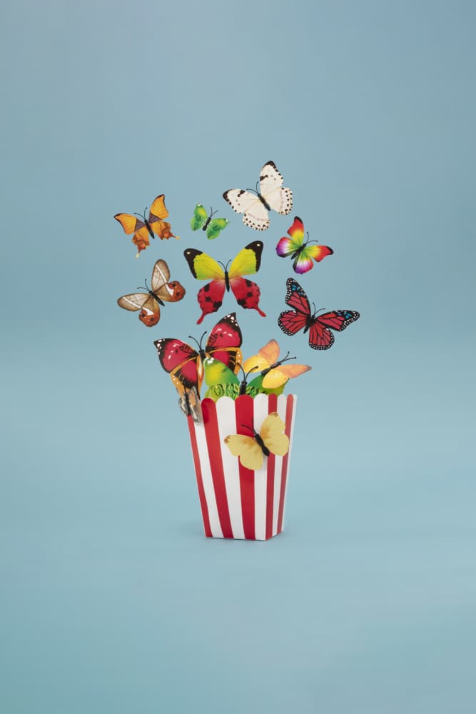 Whimsical Butterfly Pop by Julia Ramiro — canvas wall art