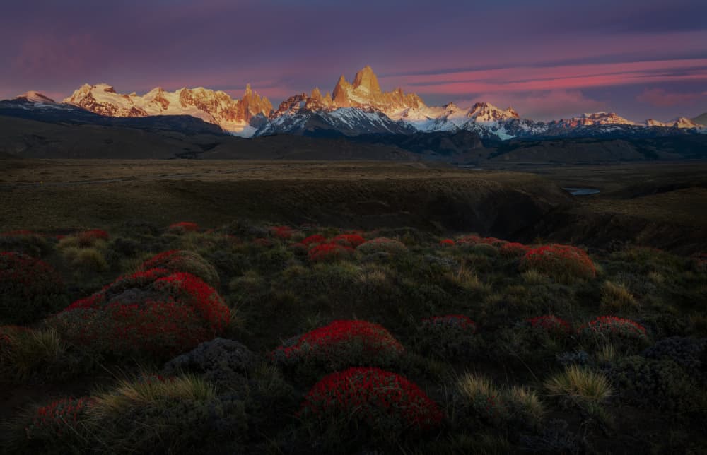 Fitz Roy Morning Glow by Rong Wei — canvas wall art