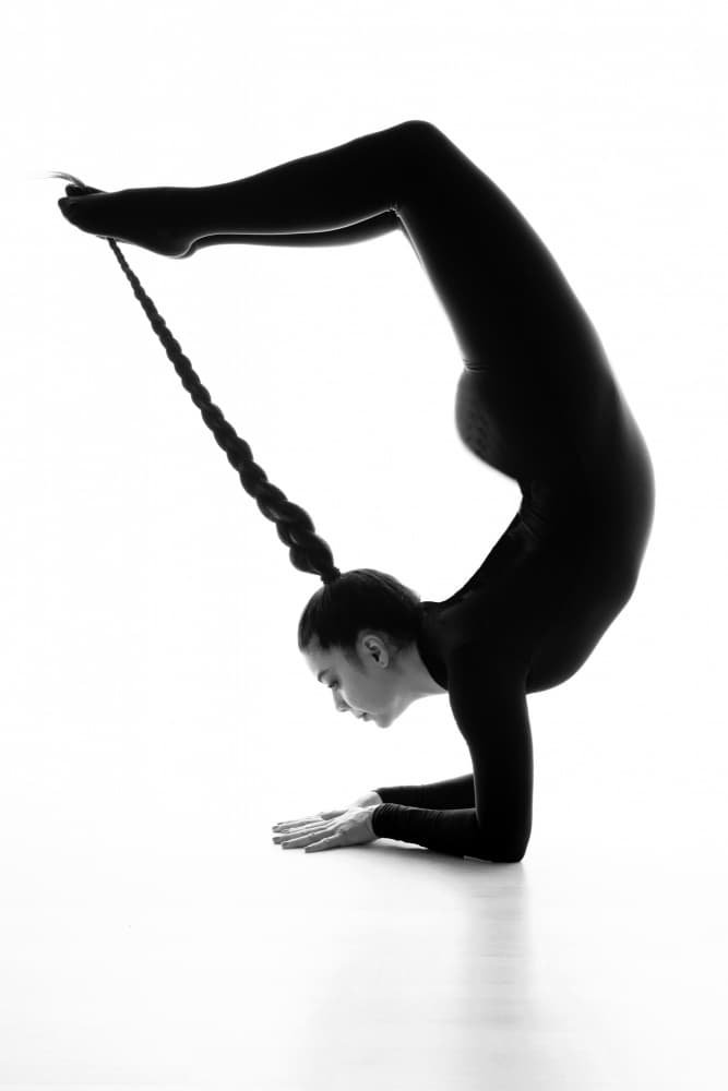 Elegant Braided Pose by PHILIPPE GODFROID — canvas wall art
