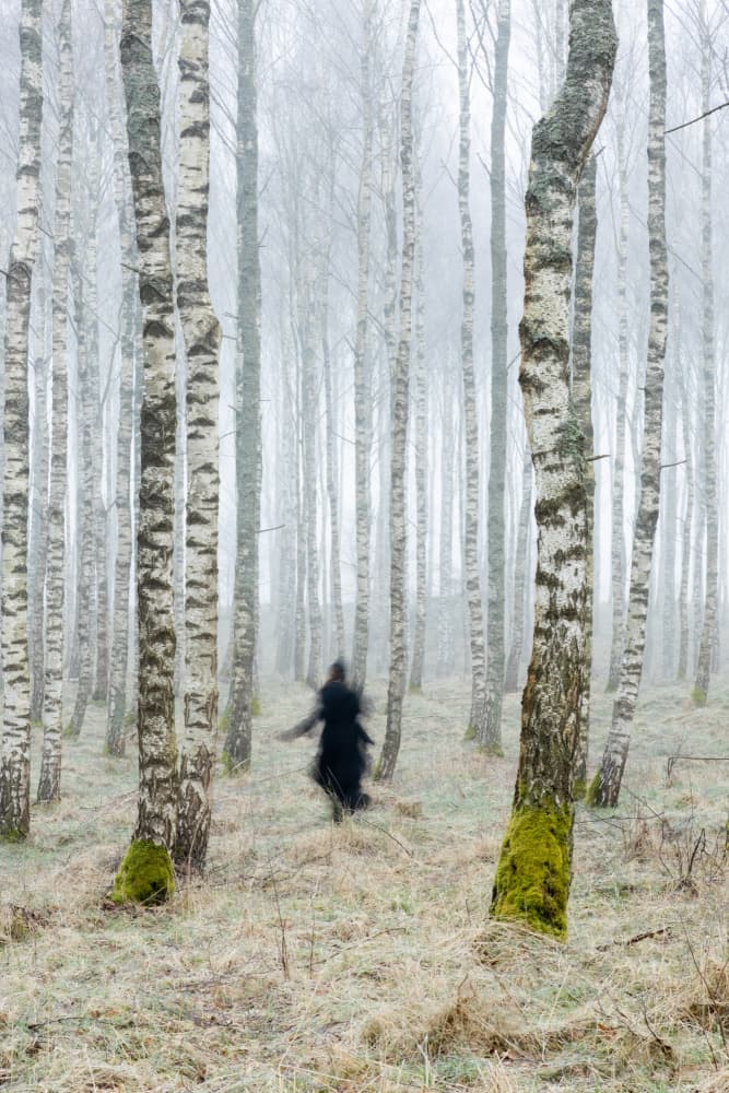 Misty Birch Forest Figure by Leszek Paradowski — canvas wall art