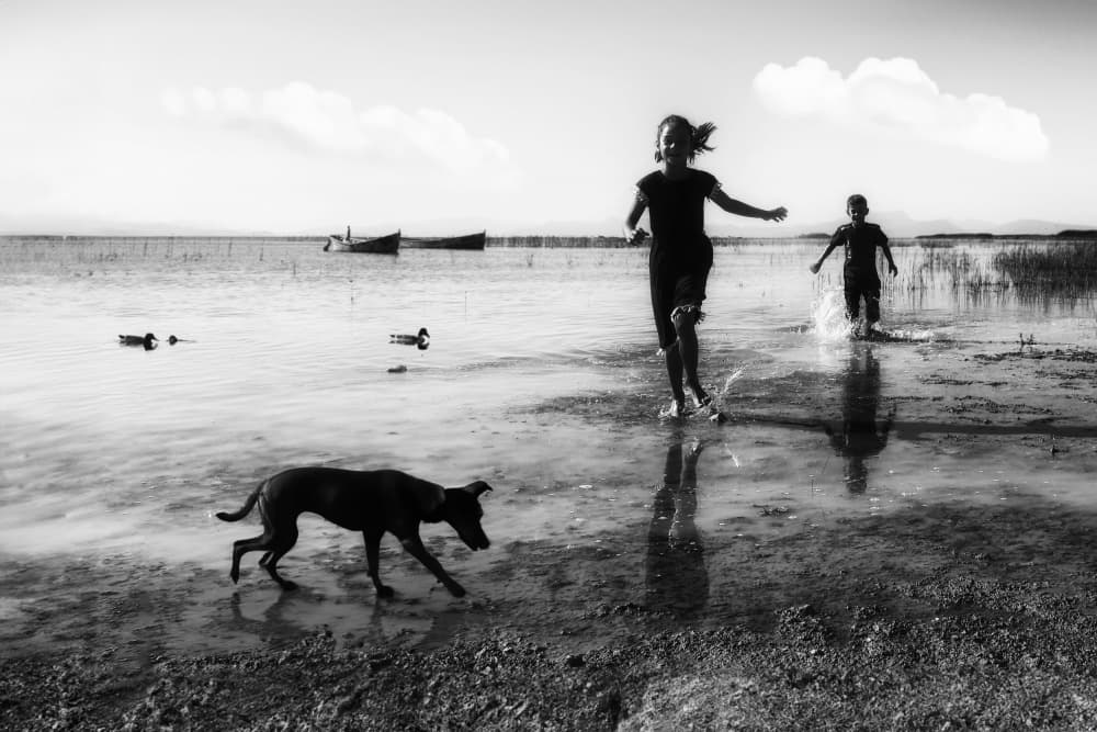 Joyful Lake Run by Emel Sefer — canvas wall art