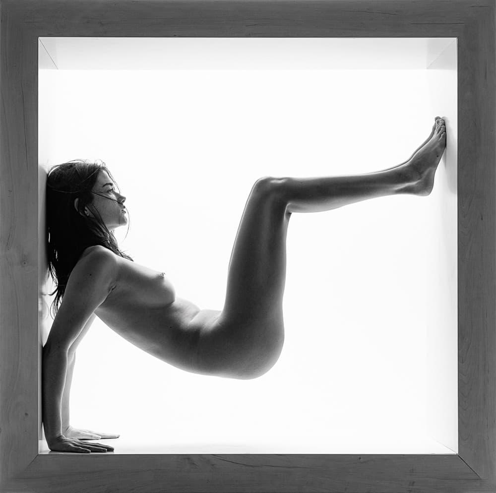 Nude Form In Light by Joan Gil Raga — canvas wall art