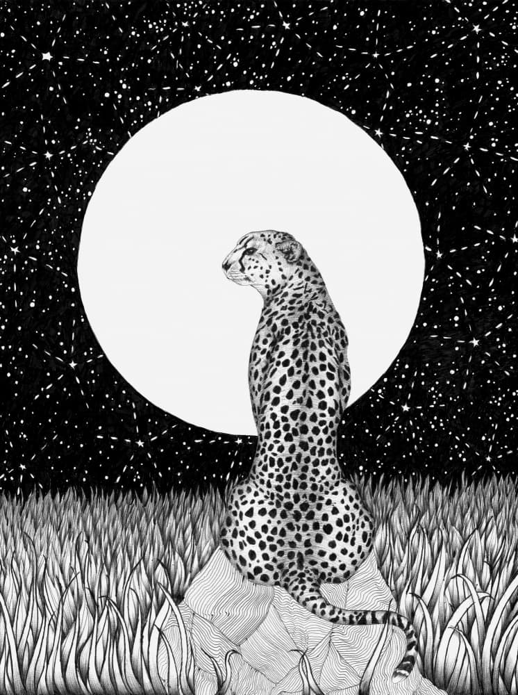 Moonlit Savanna Cheetah by EC Mazur — canvas wall art