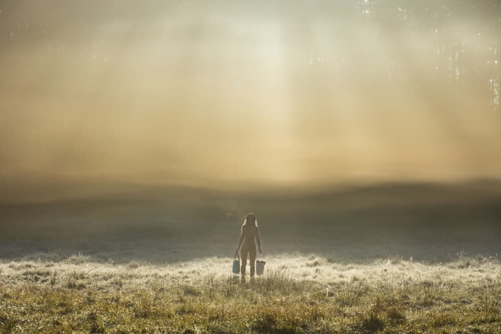 Golden Morning Silhouette by Leszek Paradowski — canvas wall art