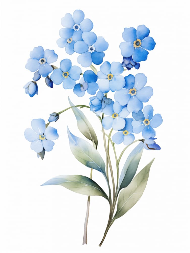 Blue Forget-Me-Nots by Christine Lindstrom — canvas wall art