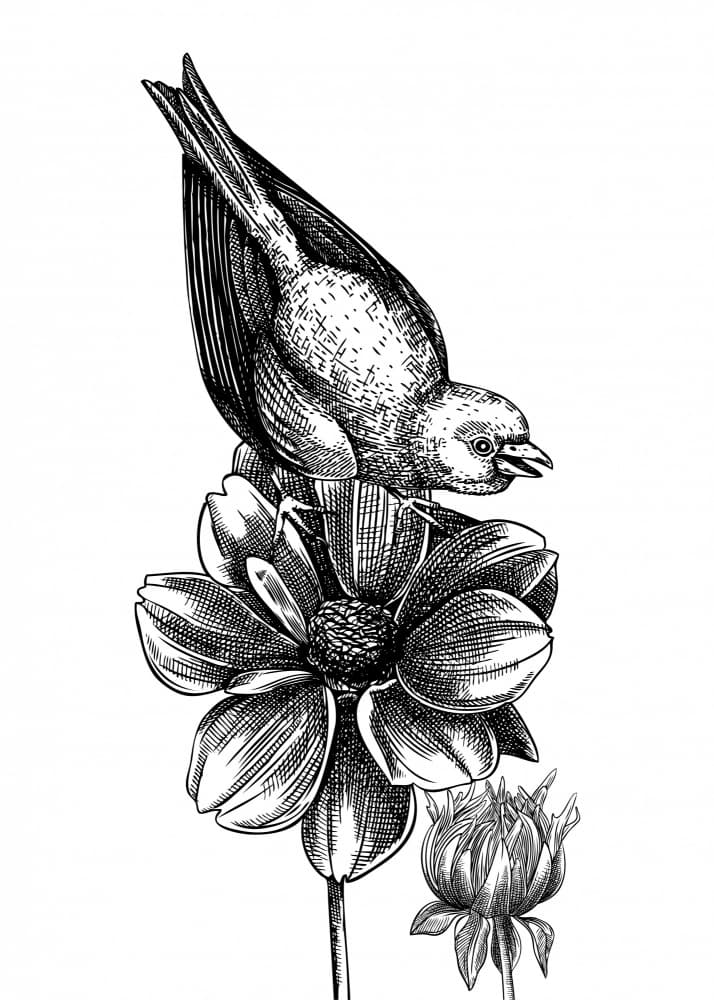 Bird On Bloom by Yevheniia Lytvynovych — canvas wall art