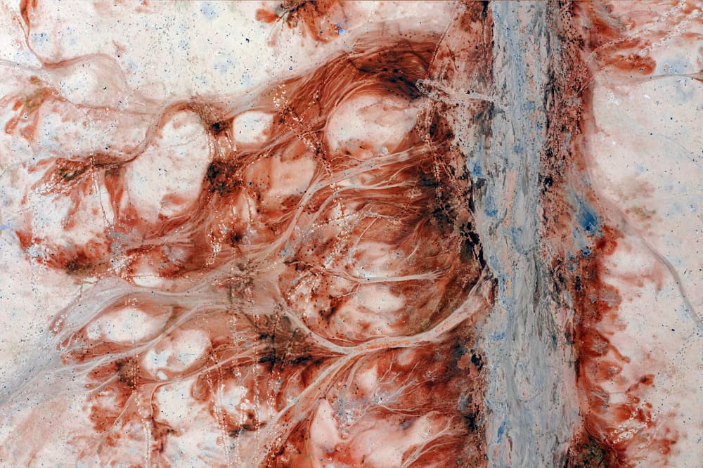 Organic Fluid Landscape by Jure Kravanja — canvas wall art