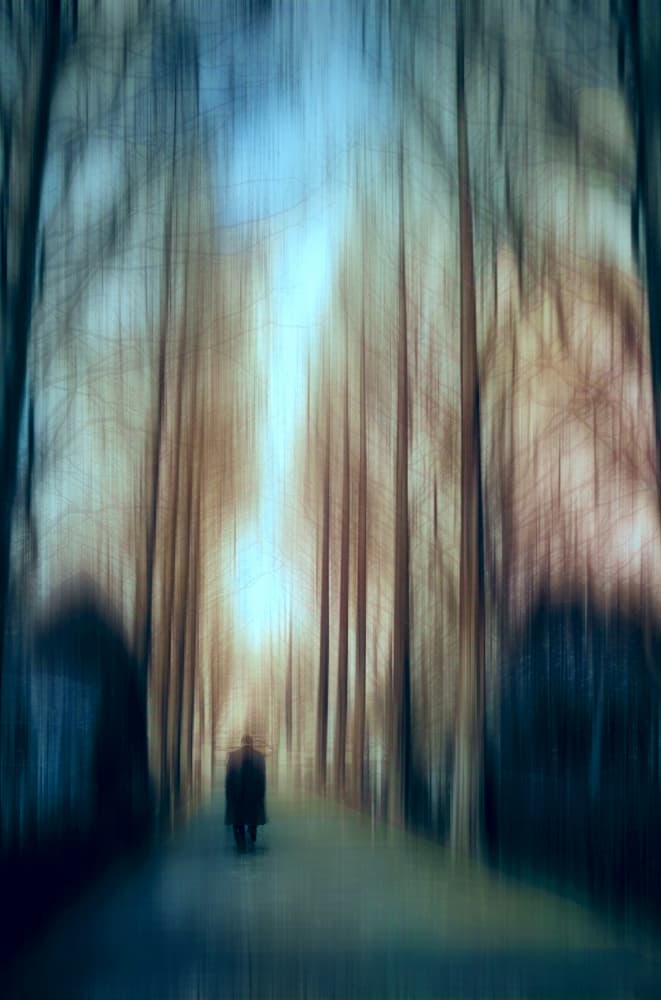 Solitary Forest Path by Atsushi Inamura — canvas wall art