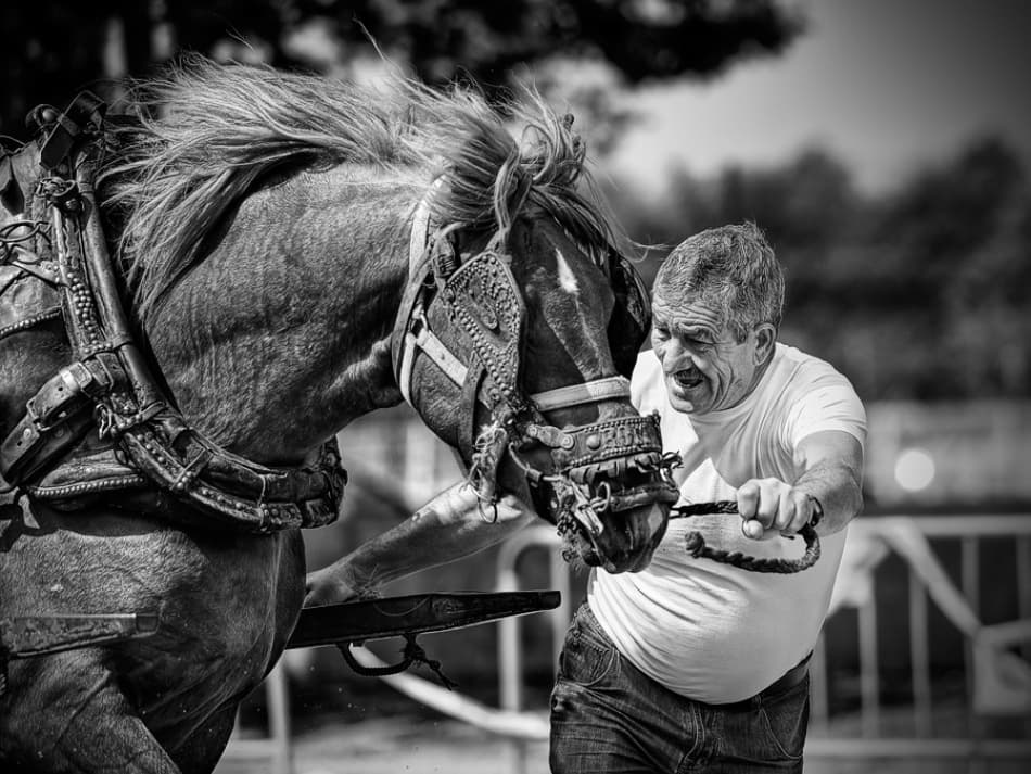 Man and Horse Power by Cesar March — canvas wall art