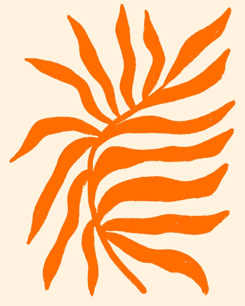 Vibrant Orange Botanical Forms
