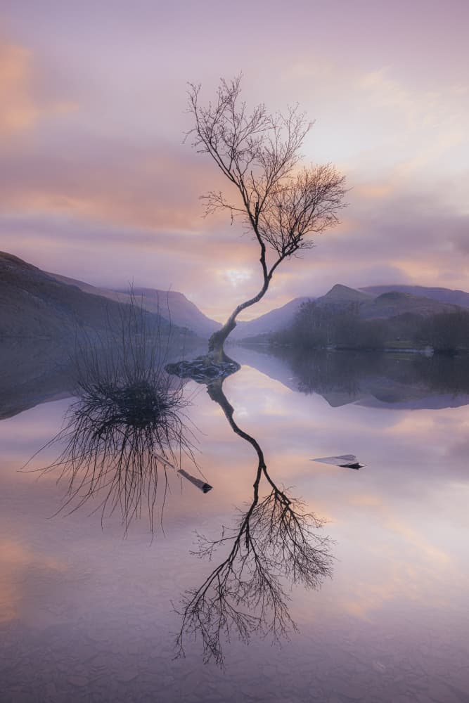 Tranquil Lake Reflection by Kutub Uddin — canvas wall art