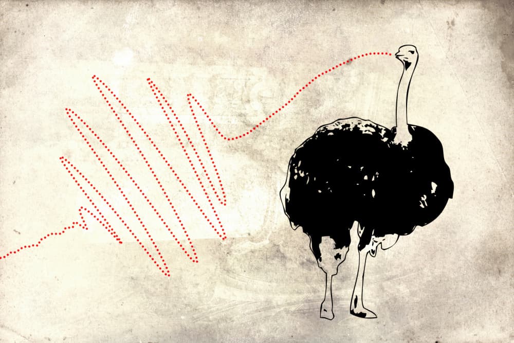 Ostrich Sound Wave by Rafal Kulik — canvas wall art