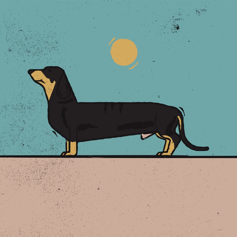 Dachshund Under Sunny Sky by The Creating Mind — canvas wall art