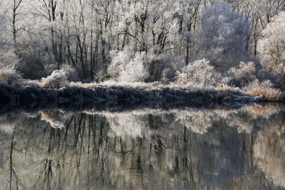 Frosted River Reflections by Jacek Stefan — canvas wall art