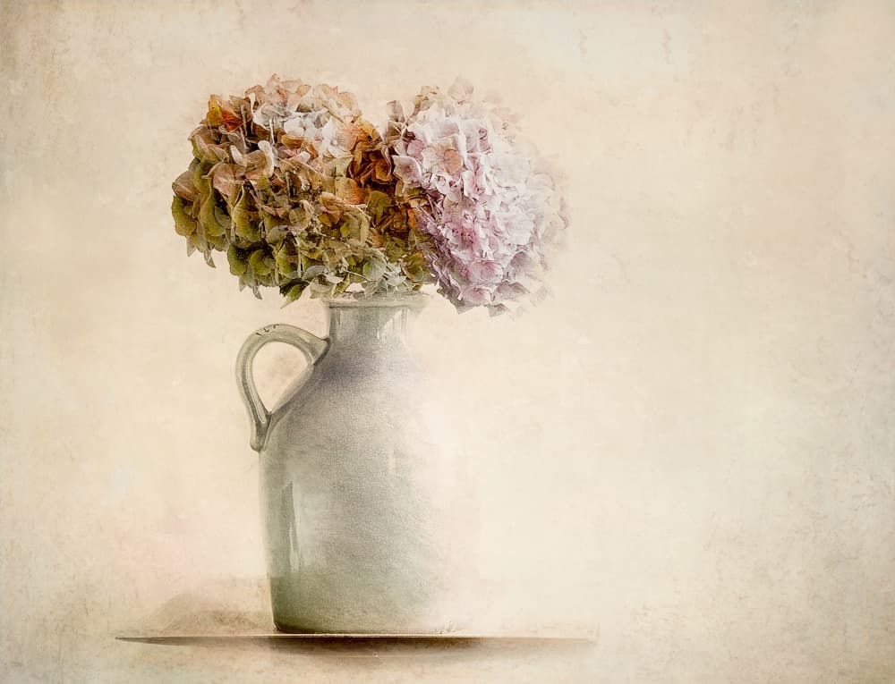 Dry bouquet by Nel Talen — canvas wall art