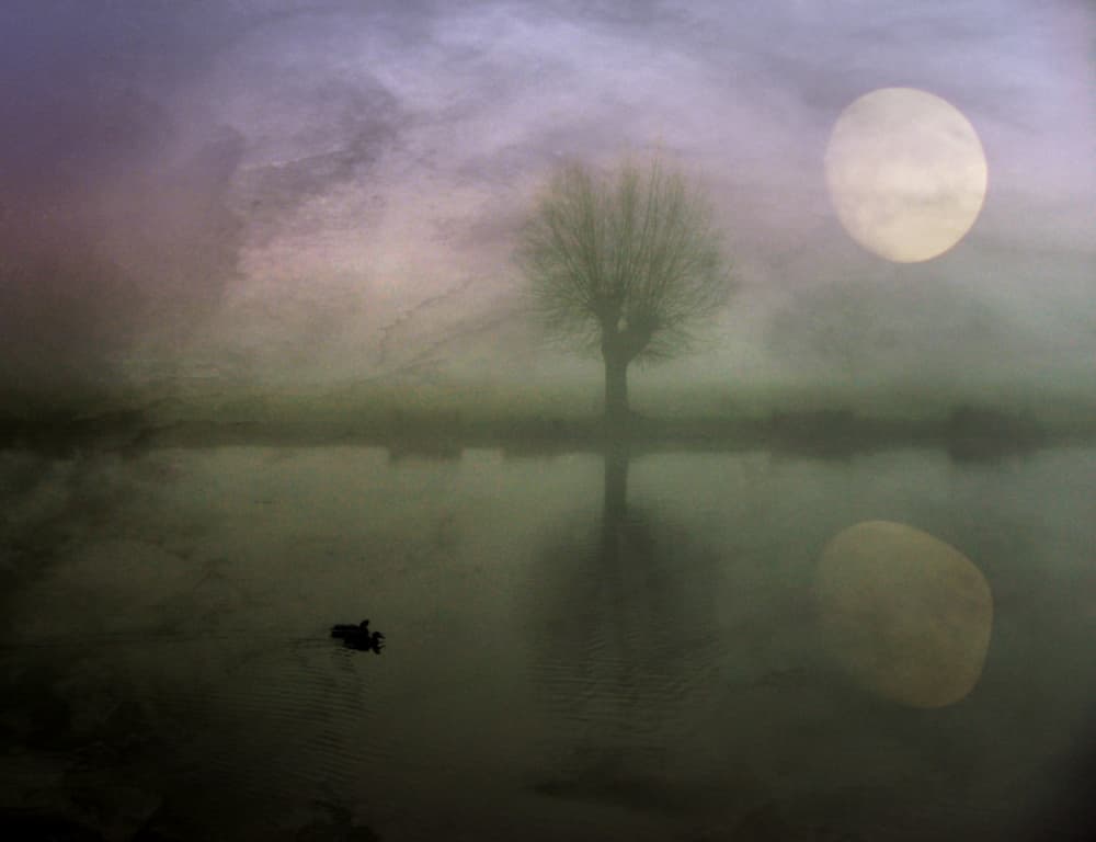 Moonlit Misty Lake by Robert Fabrowski — canvas wall art